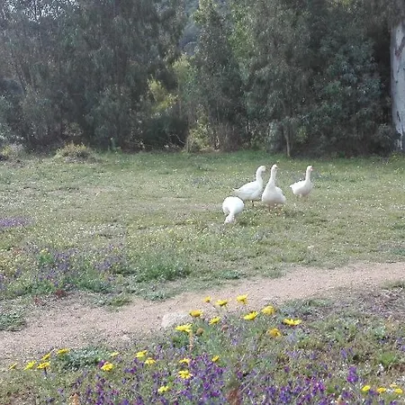 Bed & Breakfast Il Melograno