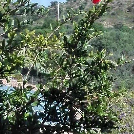 Bed & Breakfast Il Melograno 3*