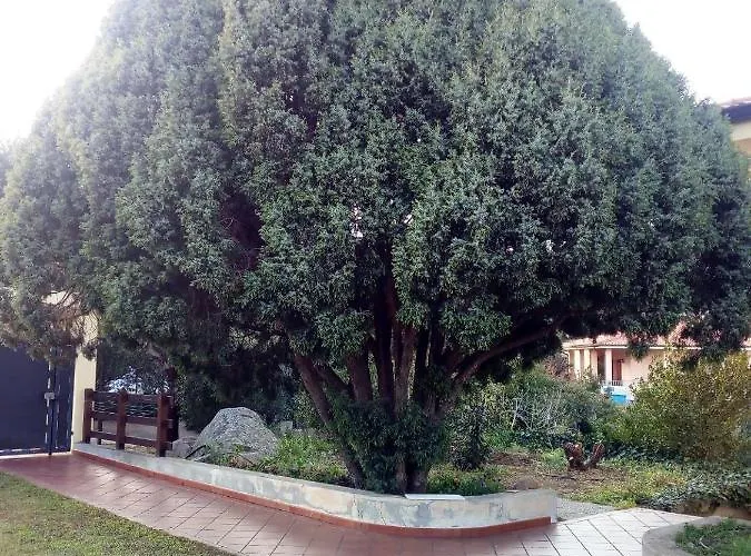 Il Melograno Capoterra