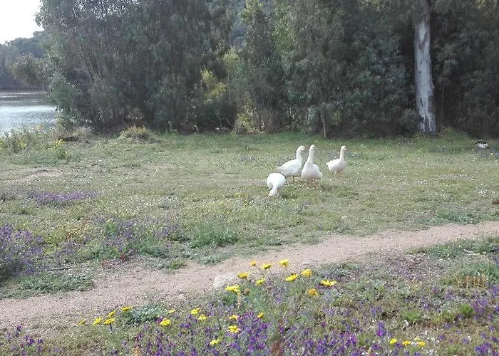 Oda ve Kahvaltı Il Melograno